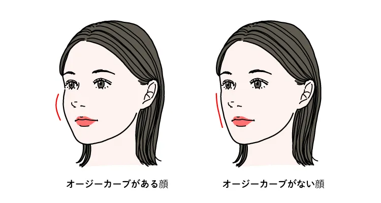 加 齢 ストア 頬 こける チーク