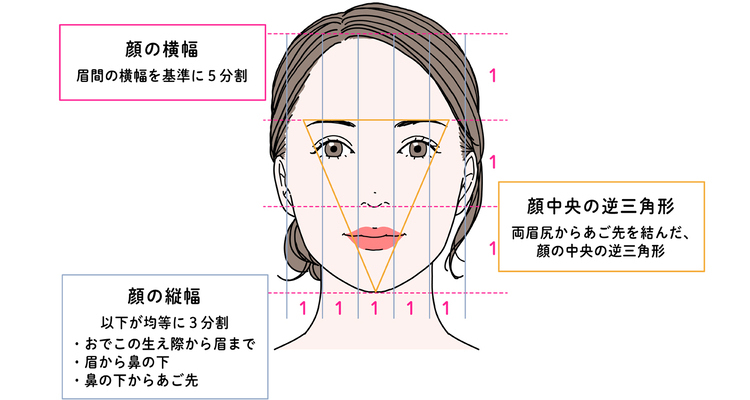  顔の理想的なバランスは顔を縦に3等分、横に5等分したときにそれぞれが均等に配置されていること